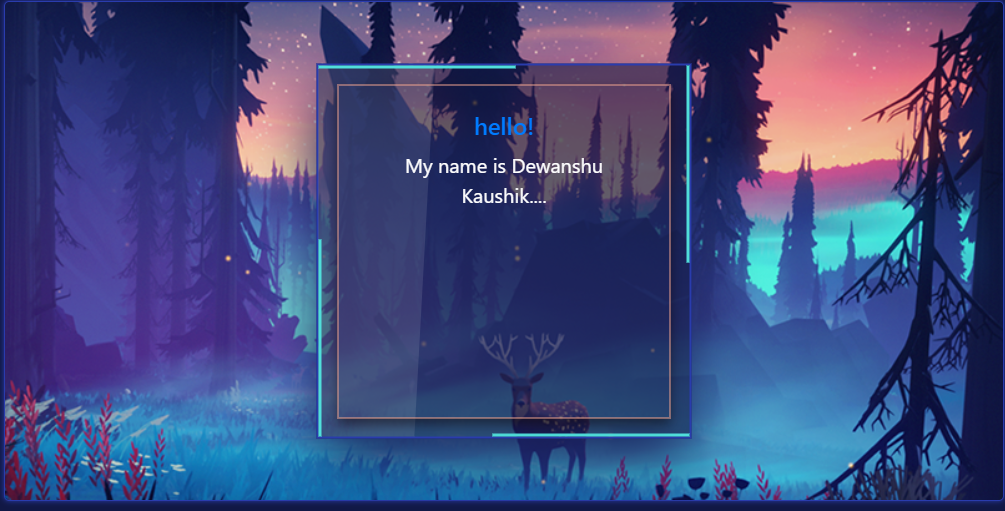 portfolio